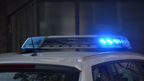 Rescataron a una mujer tras un violento ataque en La Plata y el agresor huyó Rescataron a una mujer tras un violento ataque en La Plata y el agresor huyó