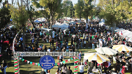 el festival de la gastronomia italiana fue declarado de interes municipal en la plata el festival de la gastronomia italiana fue declarado de interes municipal en la plata