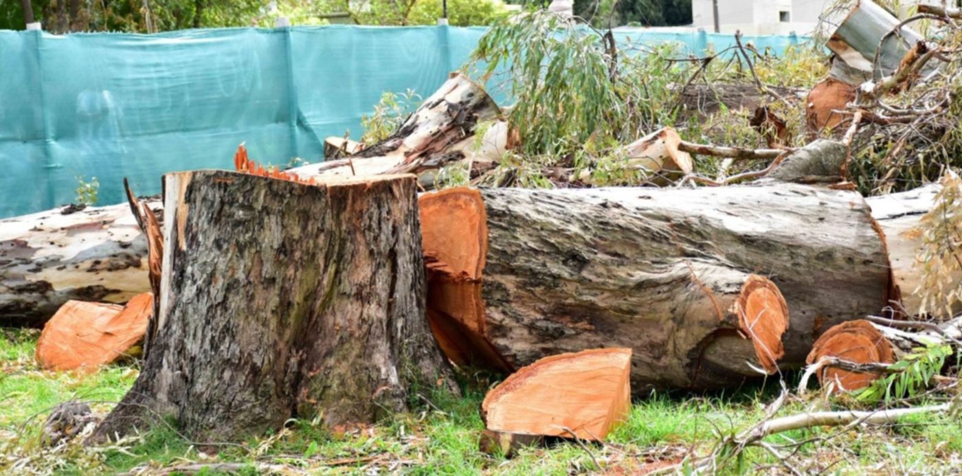 1552949255651.jpg?ow=1500&y=40&height=745&scaleY=1&scaleX=1&oh=825&x=5&width=1490&rotate=0&&cw=1920&ch=950