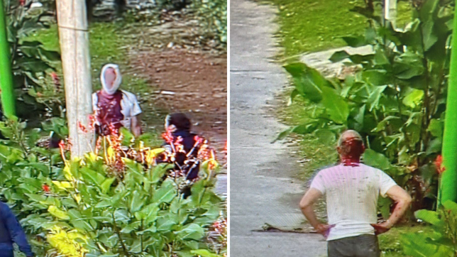 tres vecinos armados con cuchillos y un machete terminaron heridos en una brutal pelea en ensenada