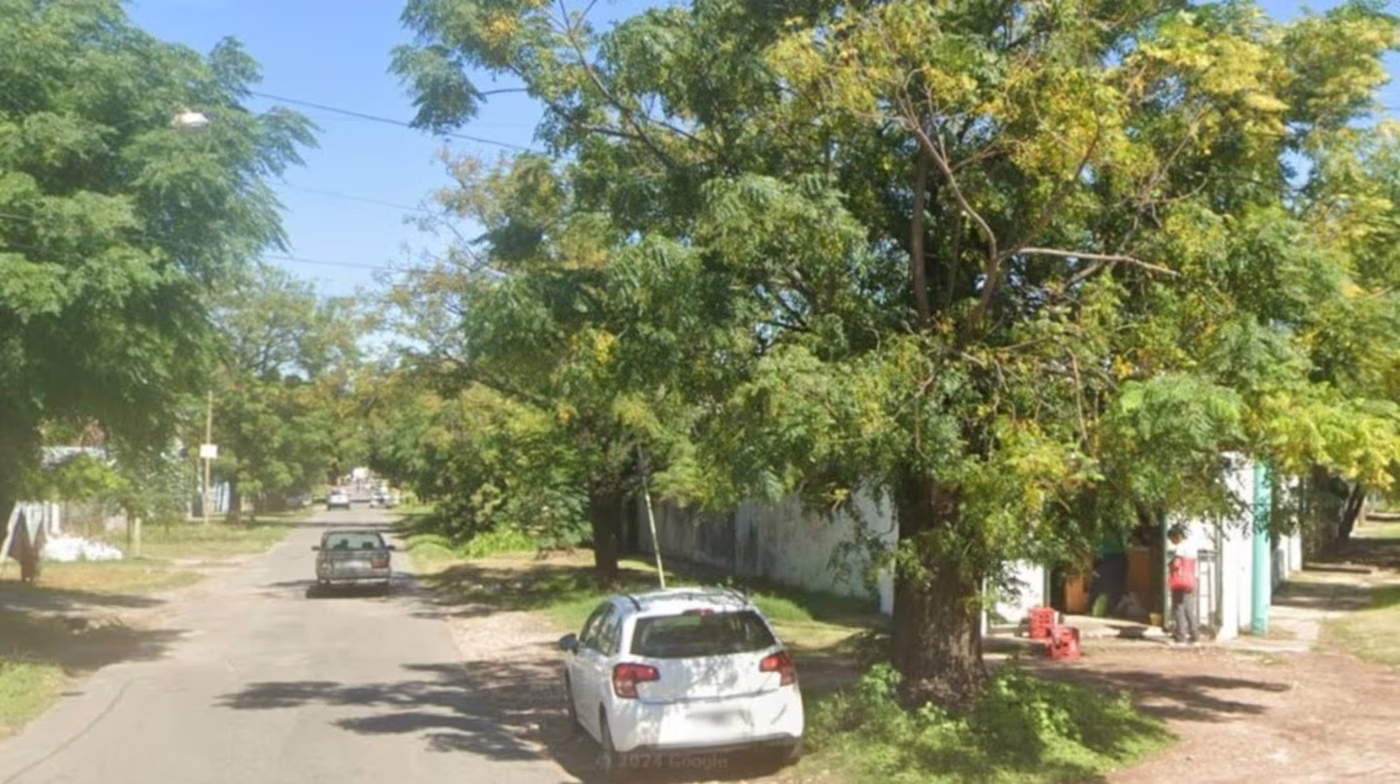 El árbol de Rosario en el que se encontraban las abejas que mataron al hombre de 56 años.