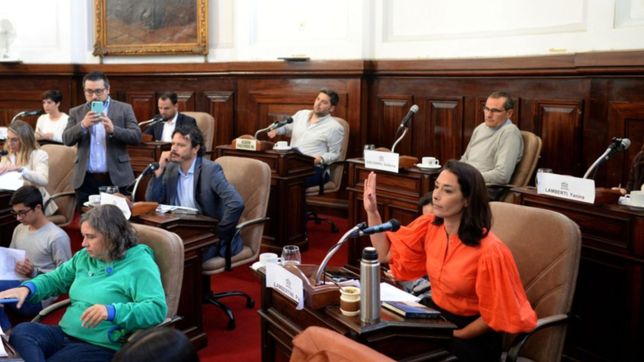 el fallo por la megatoma de los hornos centralizo el debate en el concejo deliberante