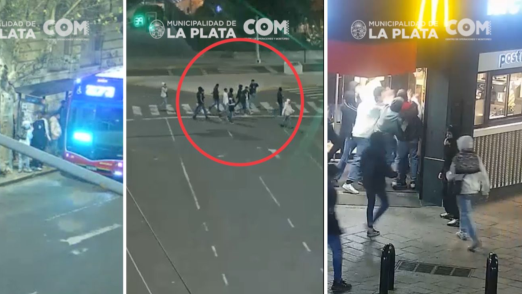 VIDEO: Diez chicos molieron a golpes a otros dos en la puerta del McDonalds de 8 y 50