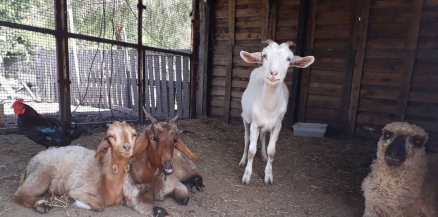 1553816530450.jpg?&cw=1920&ch=950