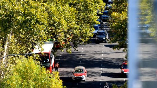 tras la fuerte tormenta, asi estara el clima en la plata durante esta semana