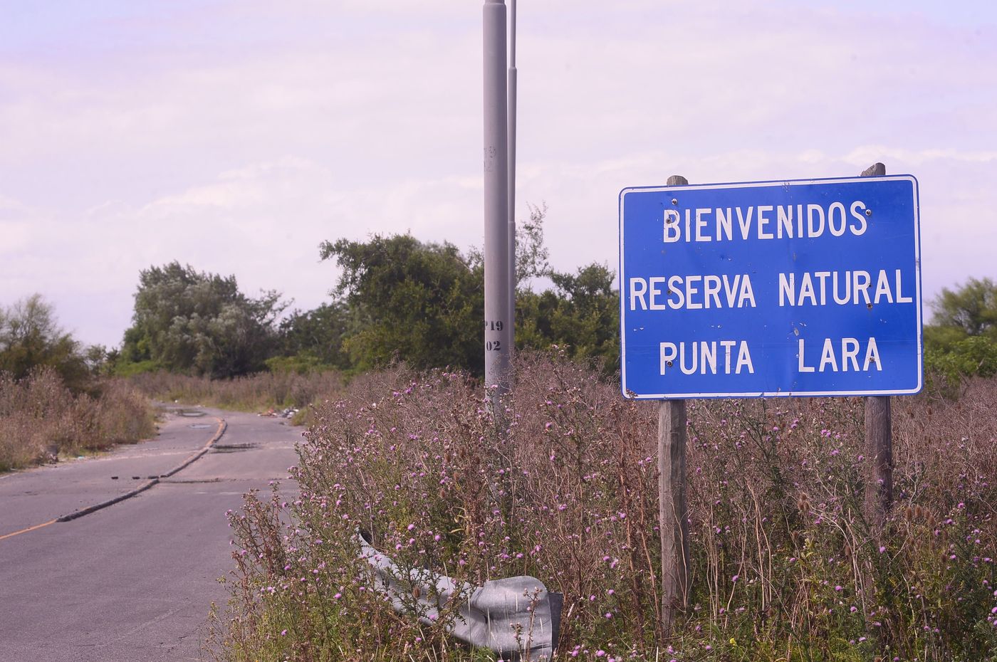 Camino Negro Punta Lara Ensenada Reserva Natural Autopista (1).jpg