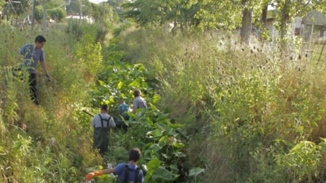 vecinos y cientificos, juntos por el medioambiente: haran una limpieza del arroyo perez