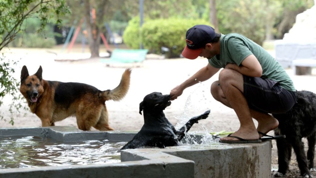 Temperaturas extremas y alerta naranja: la ola de calor en La Plata llegará a su pico