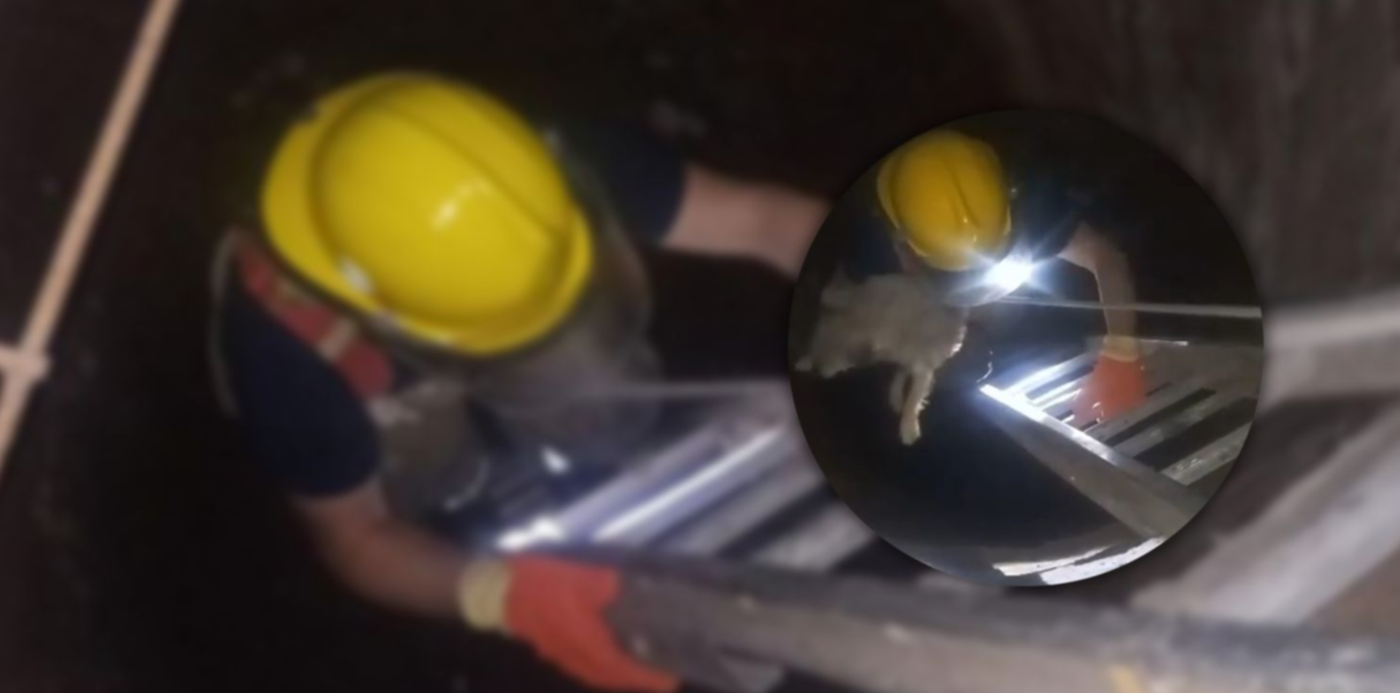 1694360383947.jpg?x=8&y=0&width=1484&height=742&rotate=0&scaleX=1&scaleY=1&ow=1500&oh=742&&cw=1920&ch=950