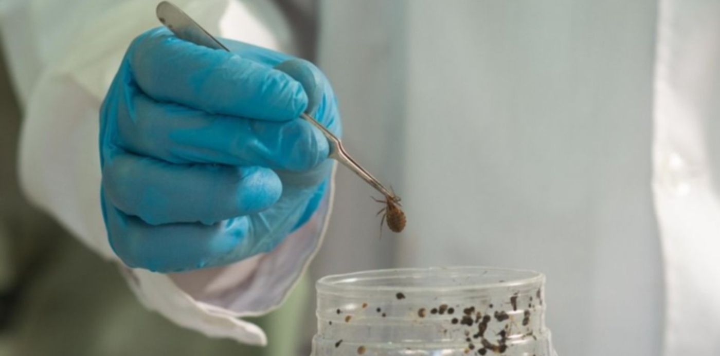 1614620619831.jpg?x=2&y=36&width=951&height=476&rotate=0&scaleX=1&scaleY=1&ow=960&oh=640&&cw=1920&ch=950