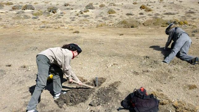 una cientifica platense ayuda a encontrar petroleo estudiando las rocas