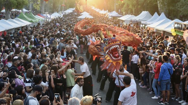 dragones, comidas y artes marciales: asi sera el ano nuevo chino en la plata