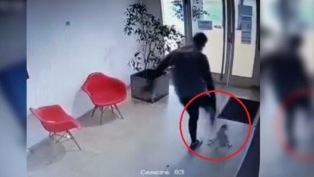 el joven que ataco a patadas a un caniche debera hacer un tratamiento contra la ira