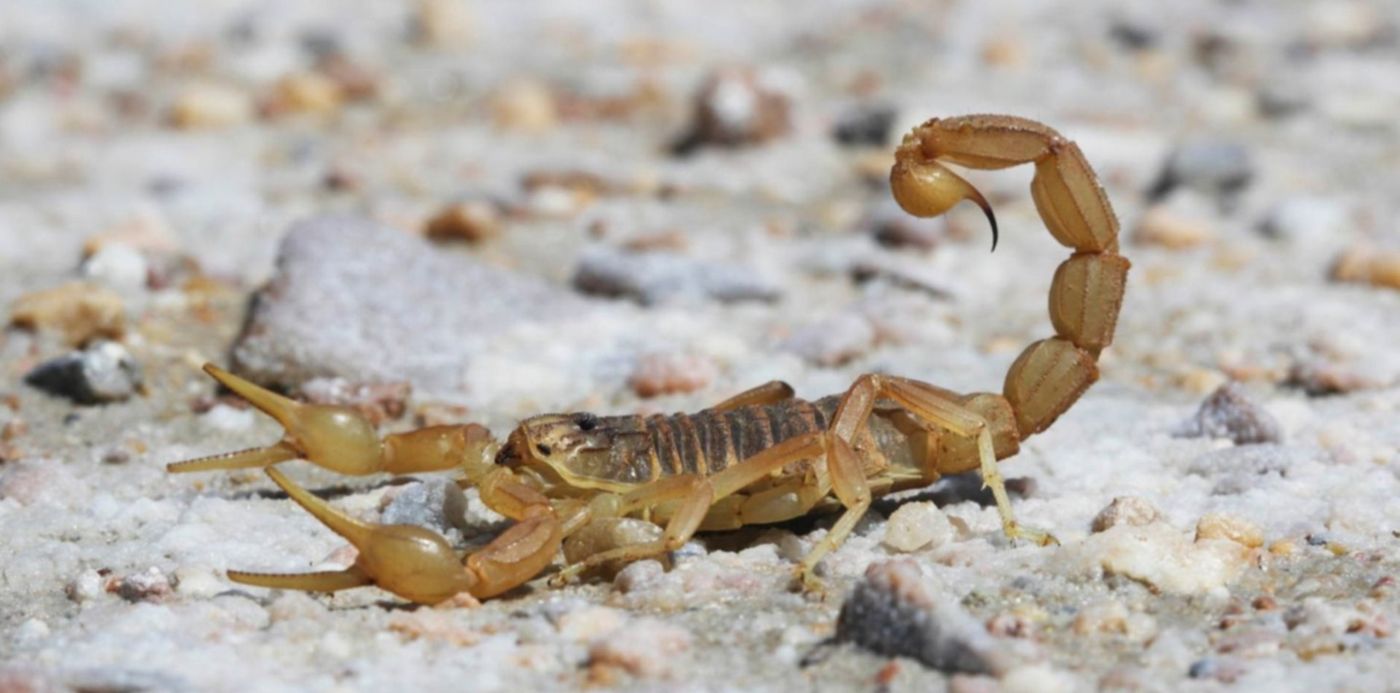 1556061214711.jpg?ow=1500&oh=842&x=12&scaleY=1&height=735&rotate=0&scaleX=1&y=34&width=1469&&cw=1920&ch=950