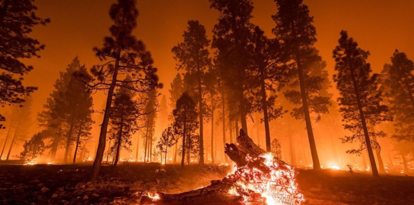 1628638650860.jpg?x=2&y=146&width=1270&height=635&rotate=0&scaleX=1&scaleY=1&ow=1280&oh=900&&cw=1920&ch=950