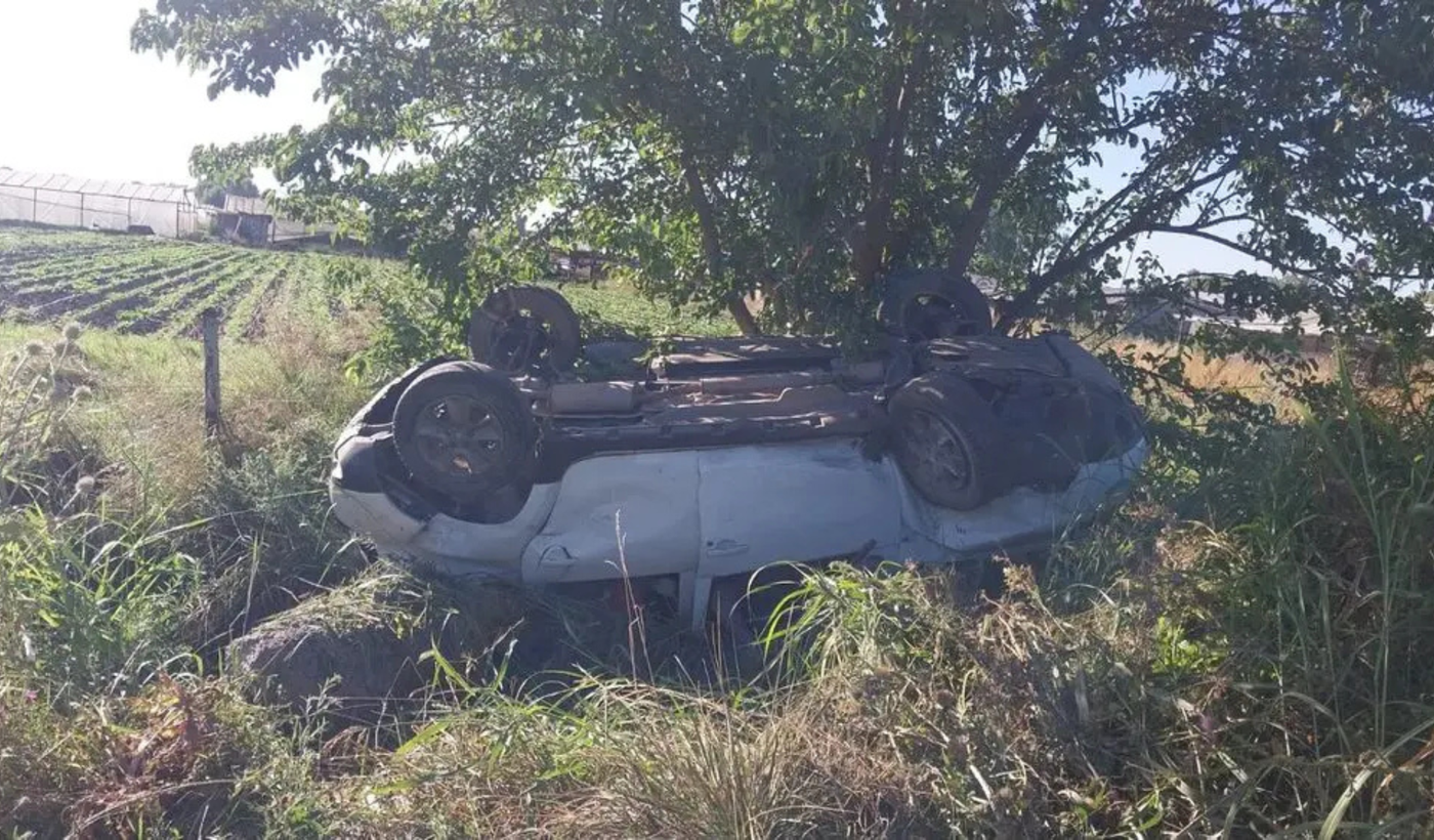 Diseño sin título (3) (1)