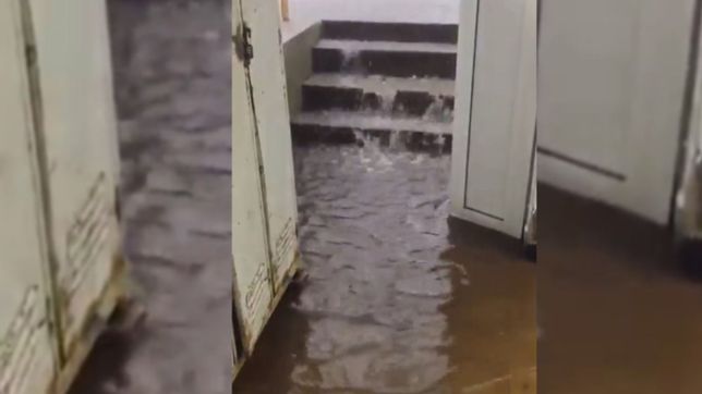 videos: en medio del temporal, el agua afecto a hospitales y centros de salud de la plata
