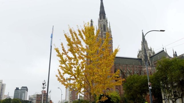 inestable, nublado y ¿con lluvias?: como sigue el clima este fin de semana en la plata