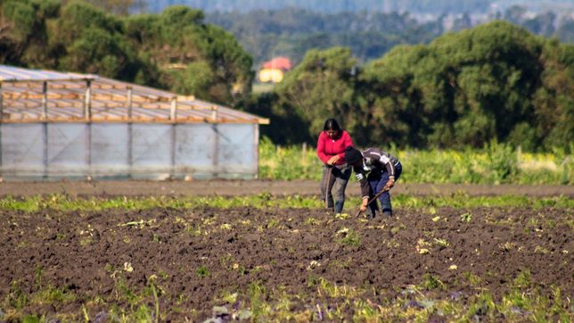 cinco ladrones atacaron a una familia de productores y se llevaron $10 millones y una camioneta