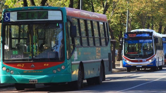 confirman que los micros seran gratuitos durante el domingo de elecciones en la plata
