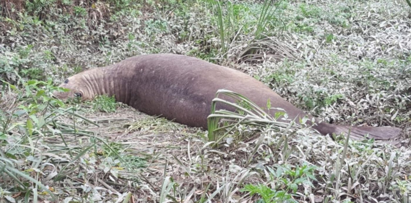 1559064625347.jpeg?x=3&y=44&width=1254&scaleX=1&oh=720&height=627&rotate=0&scaleY=1&ow=1280&&cw=1920&ch=950