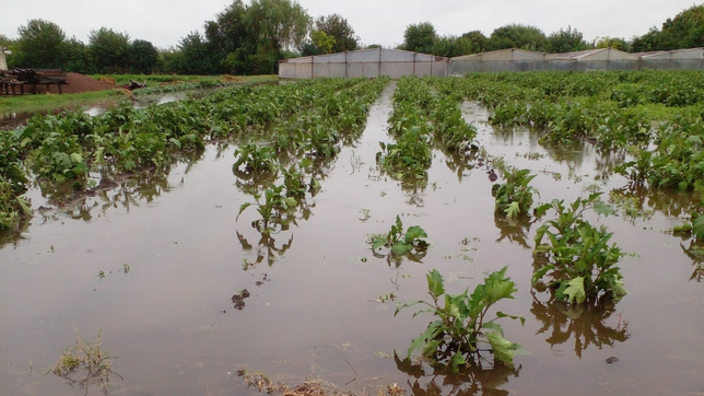 productores de la plata y la region cortan un acceso clave para pedir asistencia tras el temporal