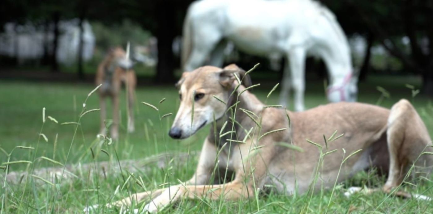 1616296273268.jpeg?x=22&y=4&width=1250&height=625&rotate=0&scaleX=1&scaleY=1&ow=1280&oh=720&&cw=1920&ch=950