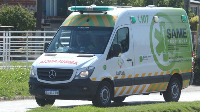 discutio con su hermano en la plata, lo apunalo en el pecho y casi lo mata