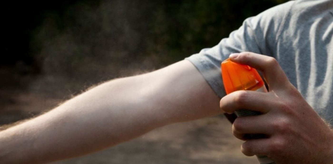 1583681569547.jpg?width=1269&height=635&rotate=0&scaleY=1&ow=1280&x=6&y=139&scaleX=1&oh=853&&cw=1920&ch=950