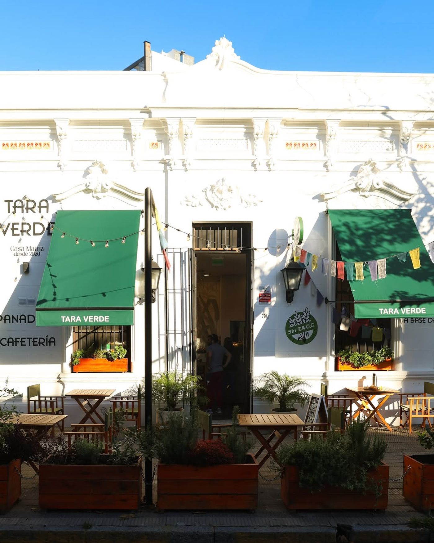 Tara Verde (3)