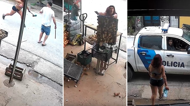 una mujer destrozo una verduleria de la plata sin razon alguna, causo panico y termino demorada