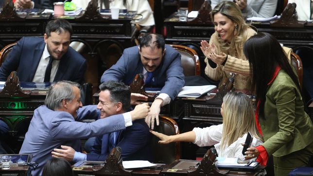 ¿como voto cada bloque la ley bases, el impuesto a las ganancias y bienes personales?