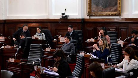 El escándalo por las supuestas coimas en la ANDIS recalienta el debate en campaña