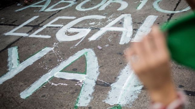 lanzan una guia para el aborto legal en la provincia
