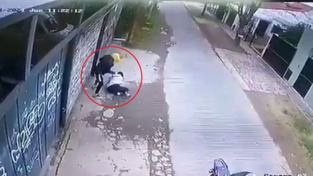 video: motochorros sorprendieron a una joven, la tiraron al suelo y le robaron en la plata
