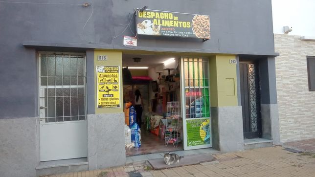 fugaz robo en un local de alimentos para mascotas de la plata