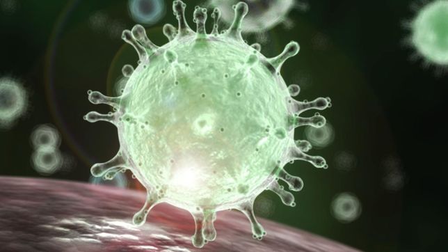 cientificos de la unlp descubrieron como el coronavirus evade las respuestas inmunes