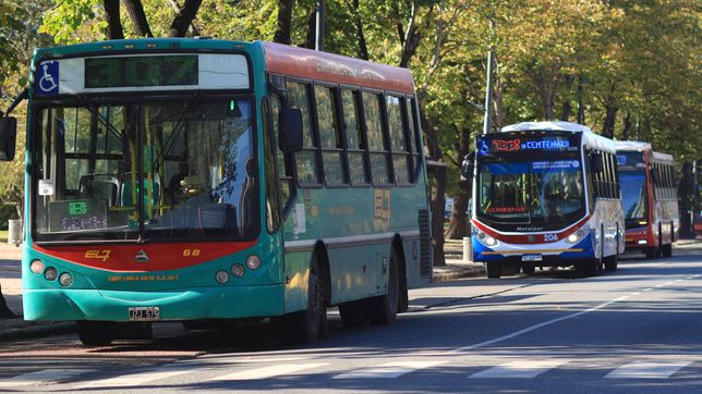 ¿que pasara con los micros en la plata y el resto del amba durante el paro general?