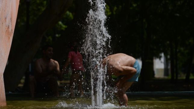 dia por dia, asi estara el clima durante toda la semana en la plata