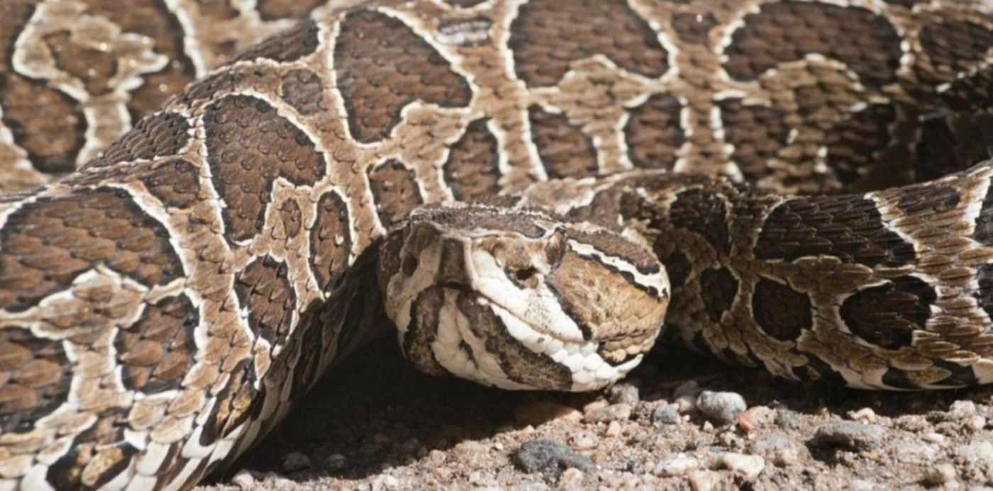 1580317745639.jpg?scaleY=1&ow=1200&x=8&y=52&width=1193&height=596&rotate=0&scaleX=1&oh=672&&cw=1920&ch=950