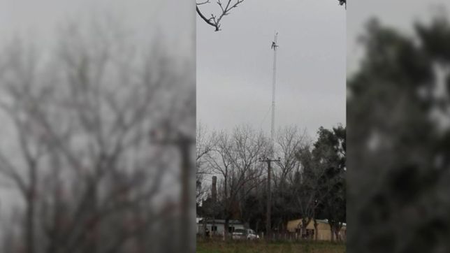 video: un preso se subio a una antena en una carcel de la plata y amenazo con tirarse
