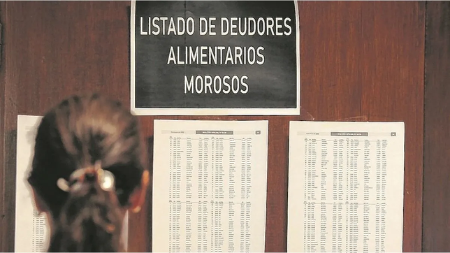 la provincia promulgo la ley y ya rige el nuevo registro de deudores alimentarios