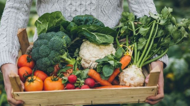 quisieron estafar con agroquimicos de alta peligrosidad a un quintero de la plata