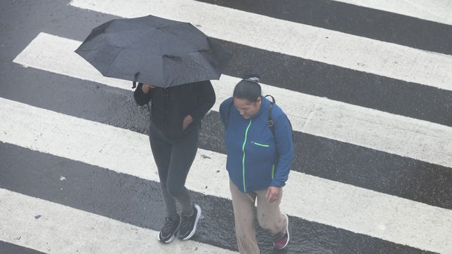tras varios dias de lluvia, el clima mejorara en la plata a la espera de un fin de semana largo con sol