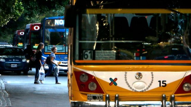estacionamiento medido, micros y basura: ¿como funcionaran los servicios en el feriado?