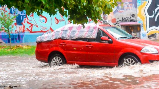 costo, tiempo y arreglos: los sacabollos con alta demanda tras el granizo en la plata
