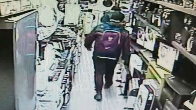 video: una banda de ladrones desvalijo una casa de electrodomesticos de la plata