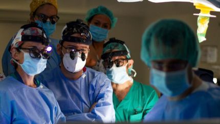 Una investigación platense fue clave para un hito en la historia del trasplante intestinal