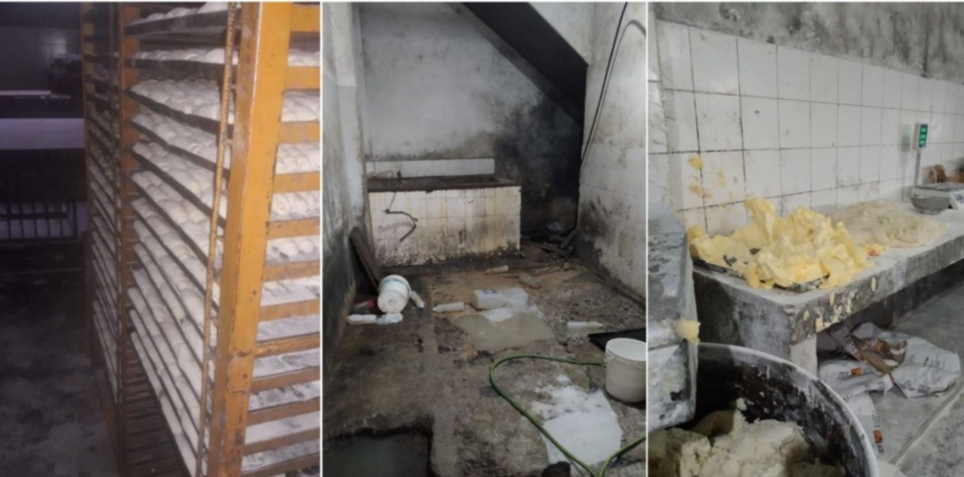 1574721444392.jpg?width=1484&height=742&rotate=0&scaleY=1&x=8&y=0&oh=742&scaleX=1&ow=1500&&cw=1920&ch=950