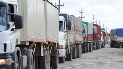 Los transportistas de carnes, vegetales, animales y granos ya no necesitarán el COT